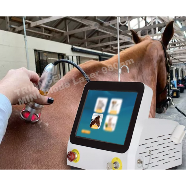 Aparat laser Veterinar, 3... 2